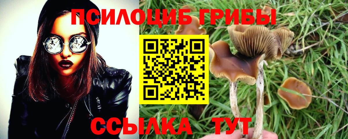 Галлюциногенные грибы ЛСД  Псилоцибиновые грибы мицелий  Глазов  Вход с VPN 